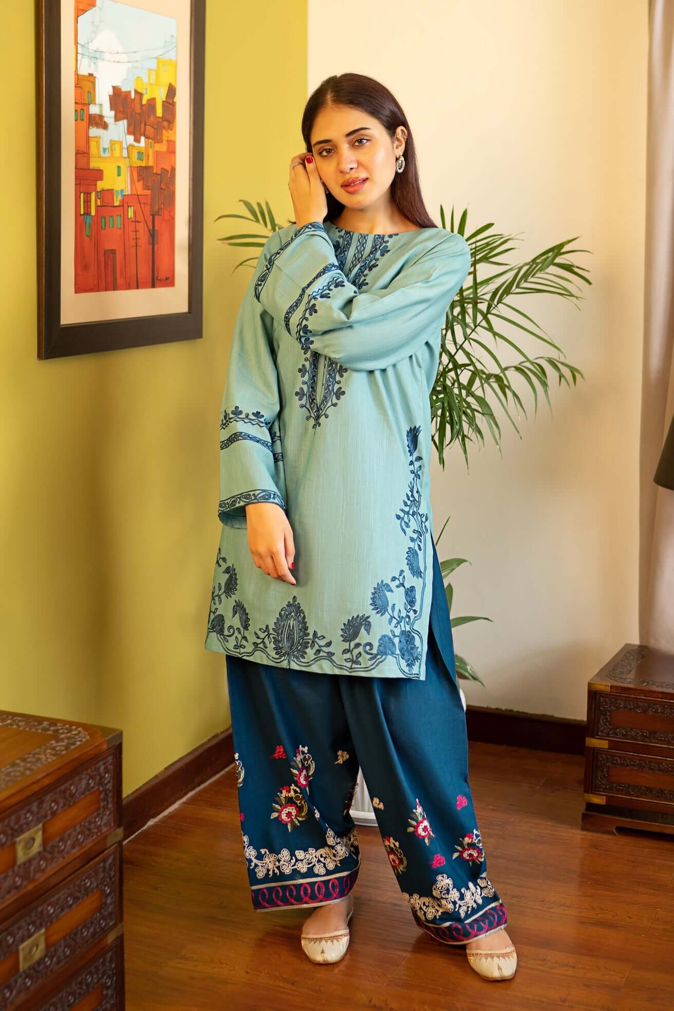 2 piece embroidered lawn FS534